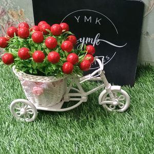 YMKE Tricyle Flower Basket