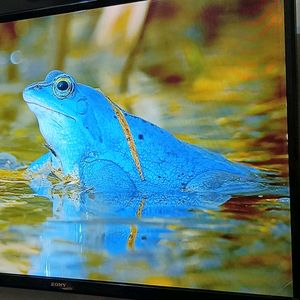 Sony led 40 inch urgent sal