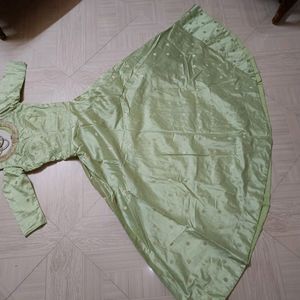 Pista Green & Golden Net Gown (New)