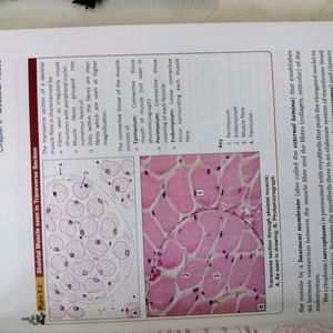 Inderbir Singh's Human Histology Guide