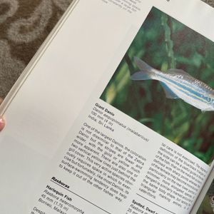 Imported Encyclopaedia: Tropical Aquarium Fishes