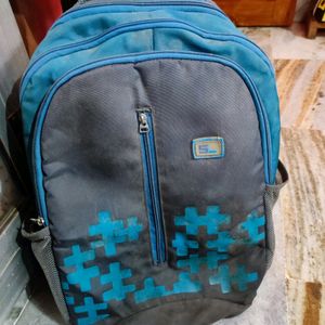 Good Condition Sreeleathers Backpack