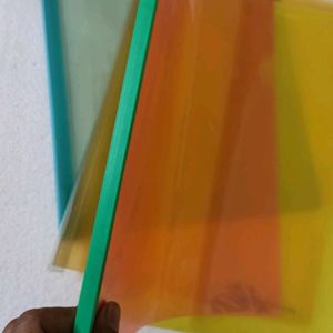 Plastic File Folders