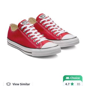 Converse LOW TOP shoes