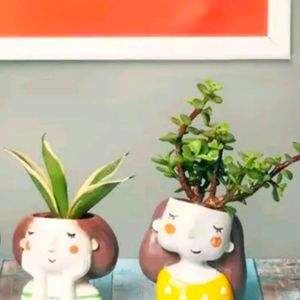 Combo Set Of 2 Girl Head  Planter For Succulent