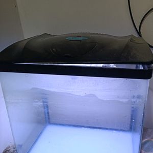 Aquarium With Pump