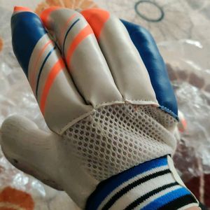 Cricket Hand Gloves