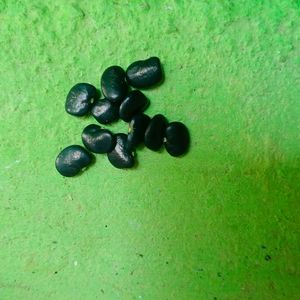 Aparajita Flower's Seeds