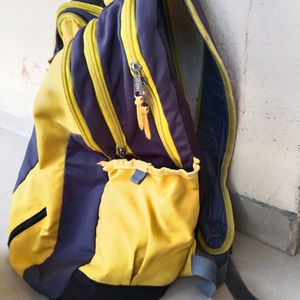 American Tourister Bagpack