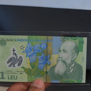 Romania Currency Note