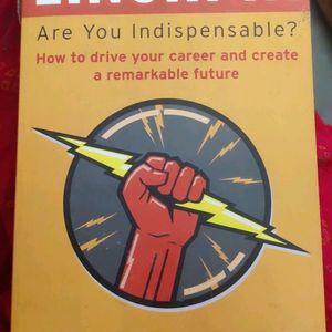 Linchpin (Are You Indispensable?)