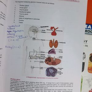 Biology Books For NTSE Class 9 And 10