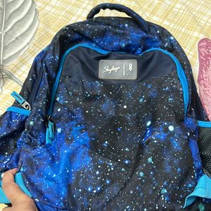 Skybags Backpack