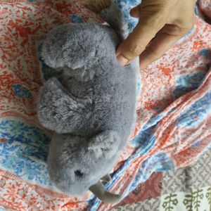 🔥🔥IMPORTED CUTE SOFTTOY-RHINO