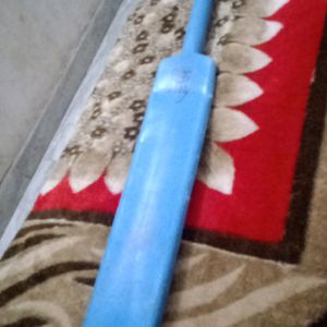 Best Cricket Bat For Childern