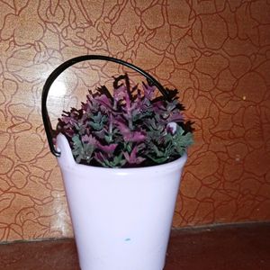 This Is Small Bucket With A Pink And Purple Colour