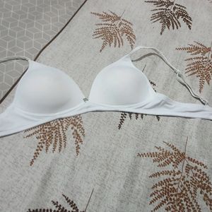 Sexy Padded Bra