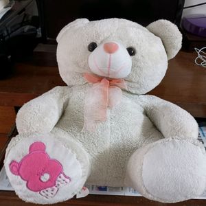 Teddy Bear Soft Toy