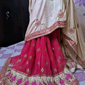 Beautiful Pink And Golden Saree