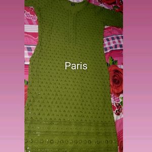 Chikankari Kurti 💚 Green