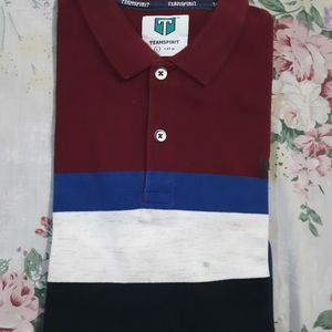 Teamspririt Polo Tee