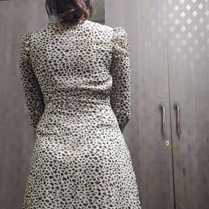 Leopard Print Dress From MAX