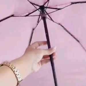 Korean Capsule Umbrella