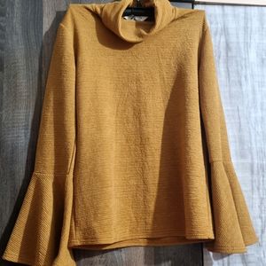 Turtle Neck Bell Sleeve Top