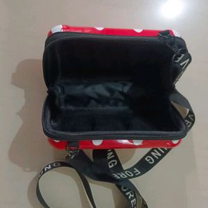 Handbag/Sling Bag