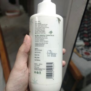 Avocado Body Lotion