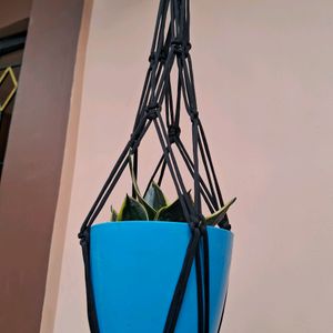 Macrame Black Colour Flower Pot Hanging