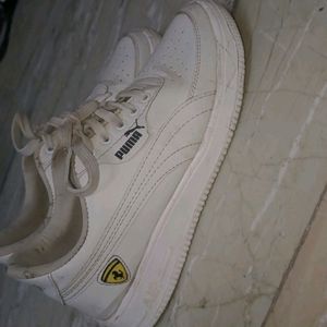 Puma shoes