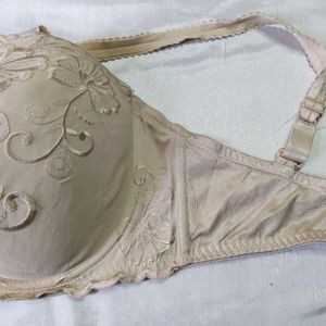 Important Plus Size Bra