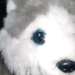 Husky Dog Plush