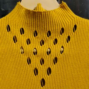 turtle neck fitted top