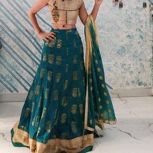 Simple And Attractive Lehnga