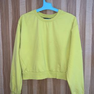 Lime Green Swetshirt