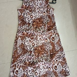 Knee Length Dress