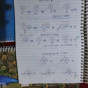 Organic Chemistry Notes