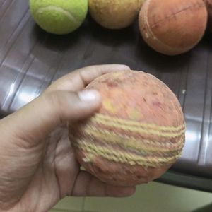 Sg Professional Cricket Ball