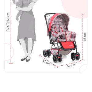 BABYHUG Cosmo Baby Stroller