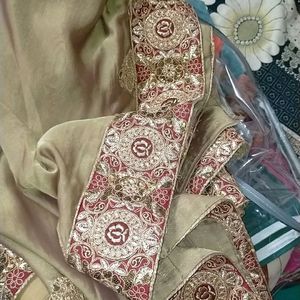 Best Shimmery Saree With Heavy border