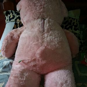 Pink Big Teddy 🫰