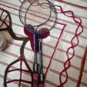 Best Badminton Ever Very Good Condition Badminto