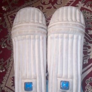 New Cricket Pads