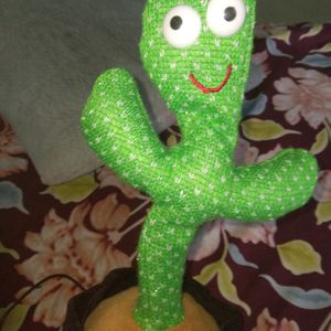 Dancing Cactus New