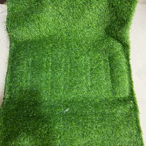 Artificial Grass