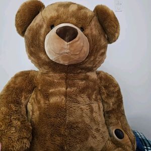 Brown Teddy Bear