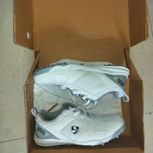 Sg Cricket Shoes