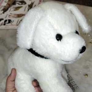 White Puppy